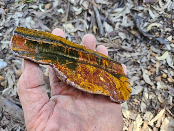 Polished Tiger Eye slab TE487