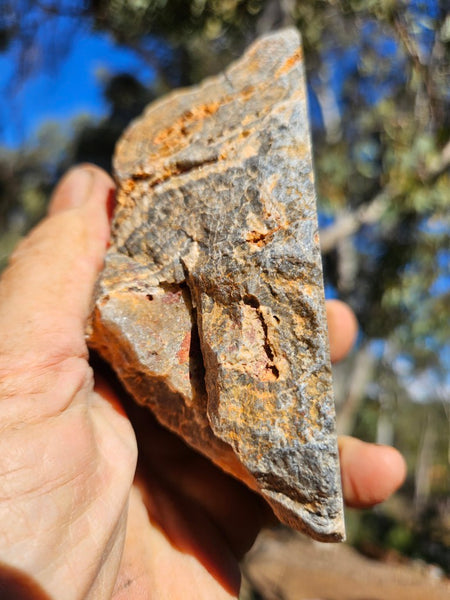 Polished Wyloo Agate  WA149