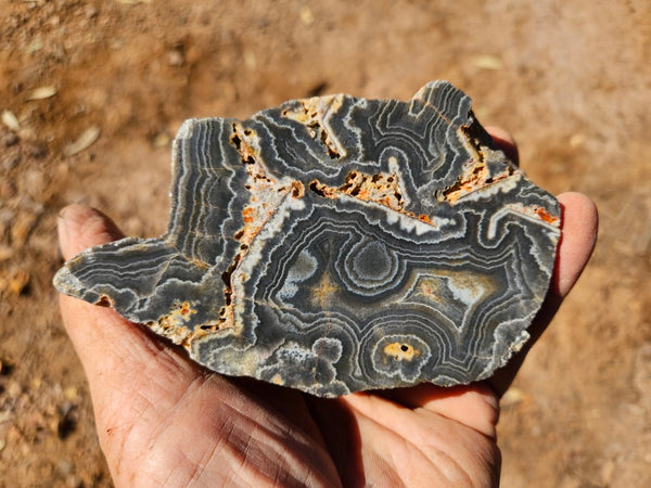 Polished Wyloo Agate  WA149