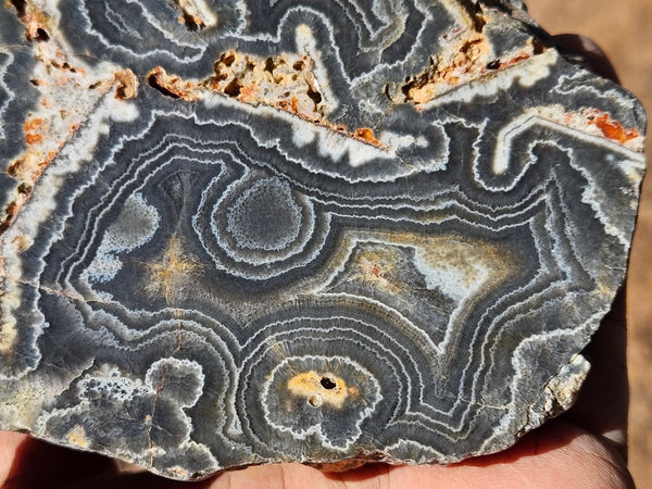 Polished Wyloo Agate  WA149