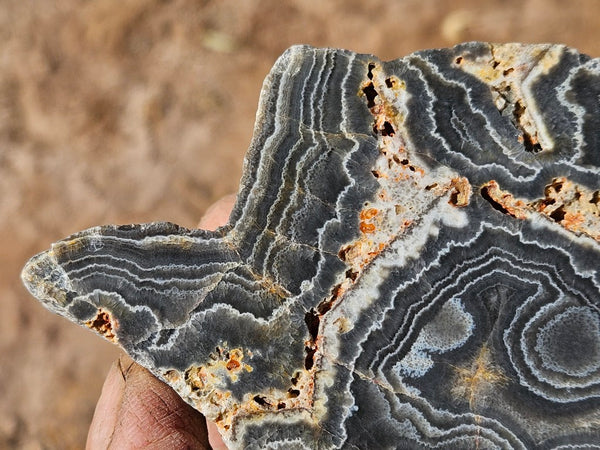 Polished Wyloo Agate  WA149