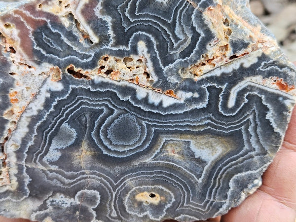 Polished Wyloo Agate  WA149