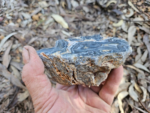 Polished Wyloo Agate  WA149