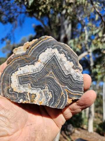 Polished Wyloo Agate  WA150