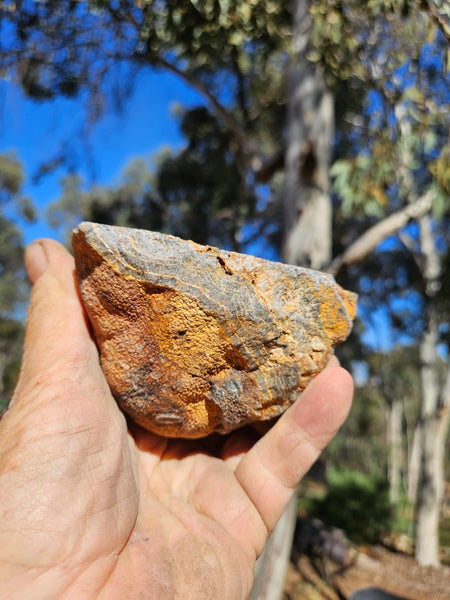 Polished Wyloo Agate  WA150