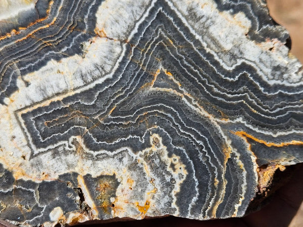 Polished Wyloo Agate  WA150