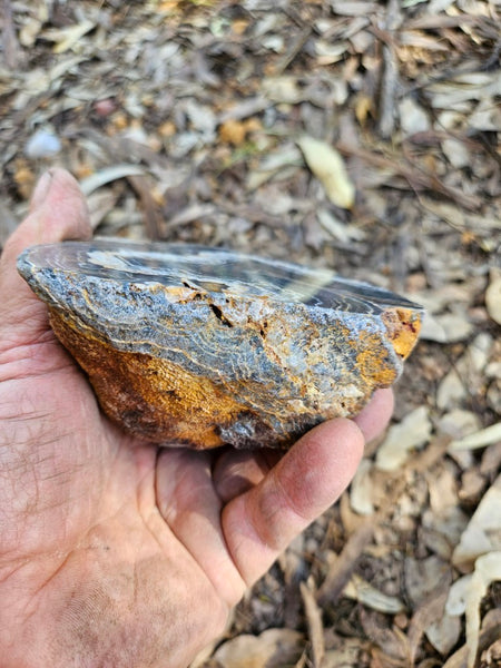 Polished Wyloo Agate  WA150