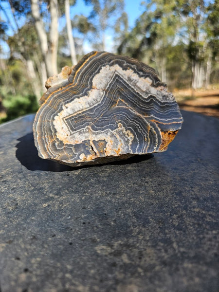 Polished Wyloo Agate  WA150