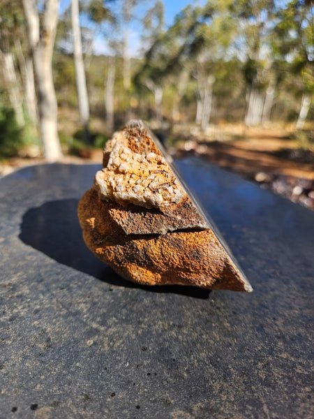 Polished Wyloo Agate  WA150