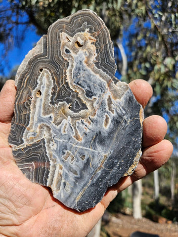 Polished Wyloo Agate slab WA147