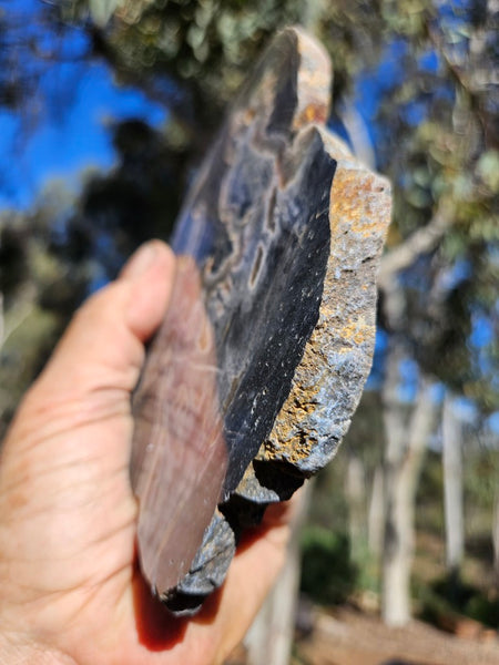 Polished Wyloo Agate slab WA147