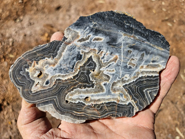 Polished Wyloo Agate slab WA147