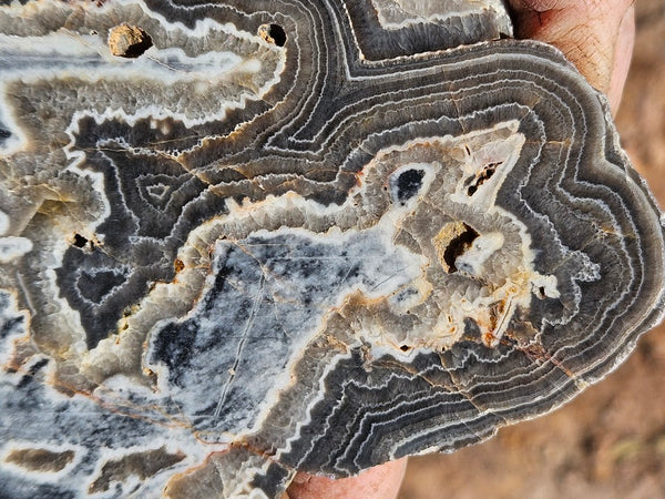 Polished Wyloo Agate slab WA147