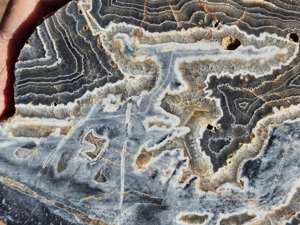 Polished Wyloo Agate slab WA147