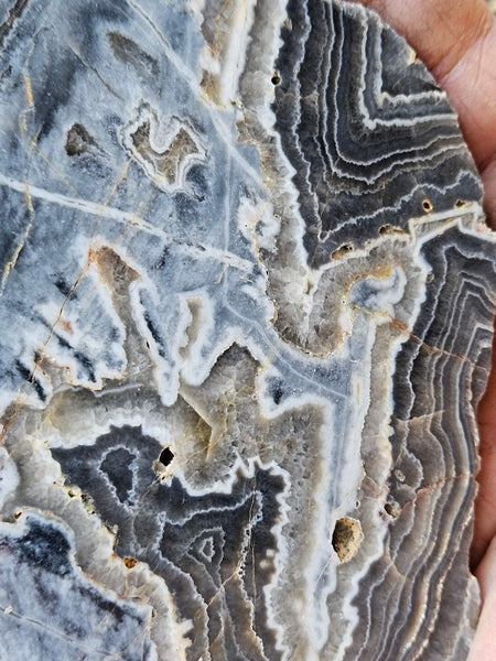 Polished Wyloo Agate slab WA147