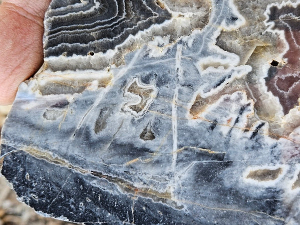 Polished Wyloo Agate slab WA147