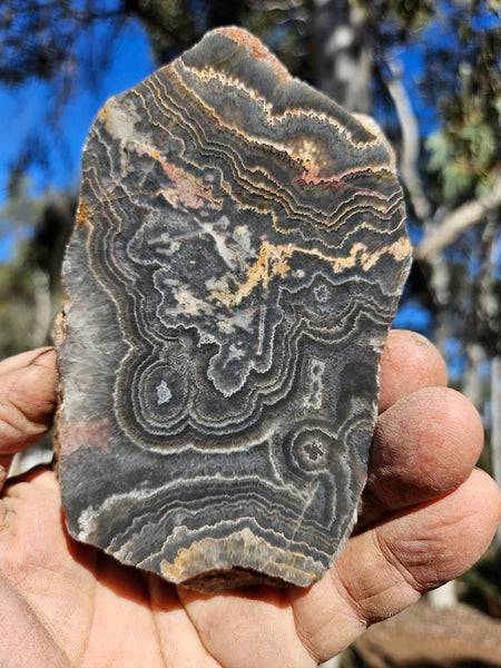 Polished Wyloo Agate slab WA148