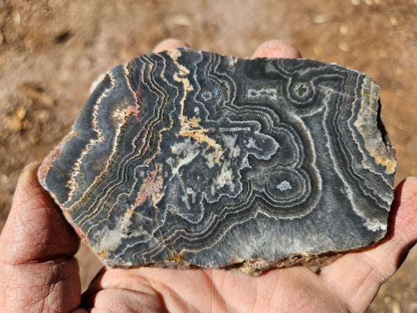 Polished Wyloo Agate slab WA148