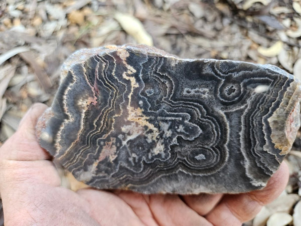 Polished Wyloo Agate slab WA148