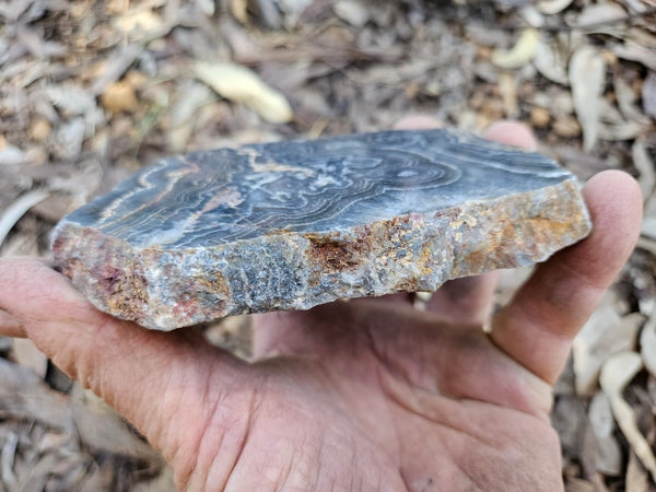 Polished Wyloo Agate slab WA148