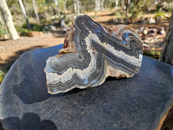 Polished Wyloo Agate  WA151