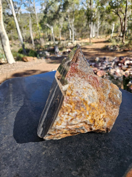 Polished Wyloo Agate  WA151