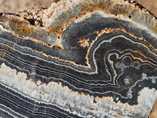 Polished Wyloo Agate  WA151