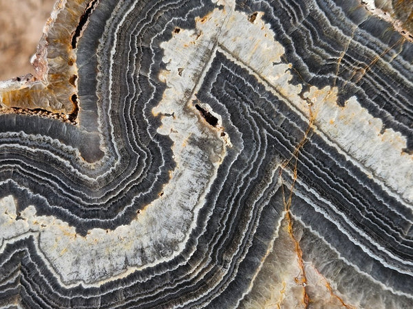 Polished Wyloo Agate  WA151