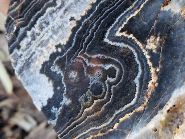 Polished Wyloo Agate  WA151