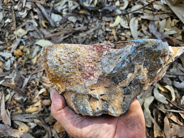 Polished Wyloo Agate  WA151