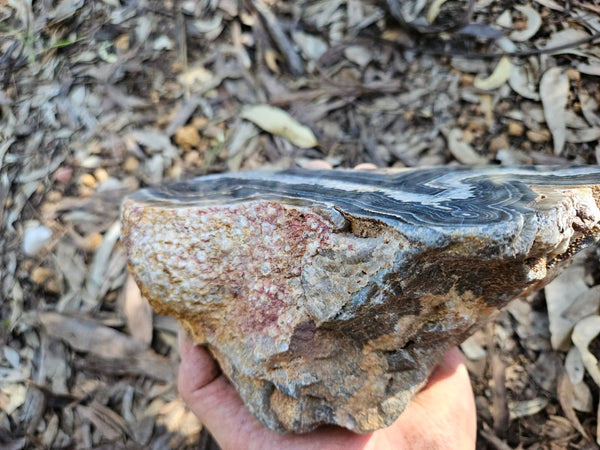 Polished Wyloo Agate  WA151