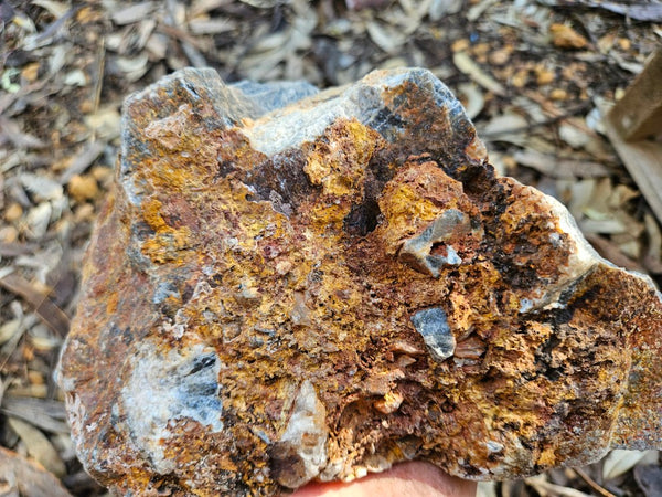 Polished Wyloo Agate  WA151