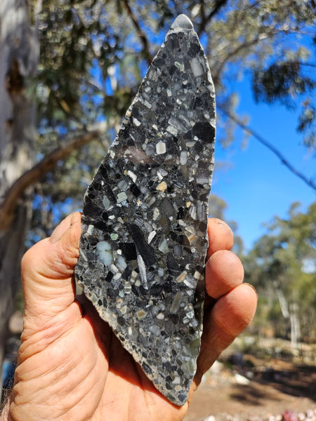Black Jasper Conglomerate slab B235