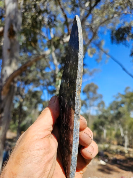 Black Jasper Conglomerate slab B235