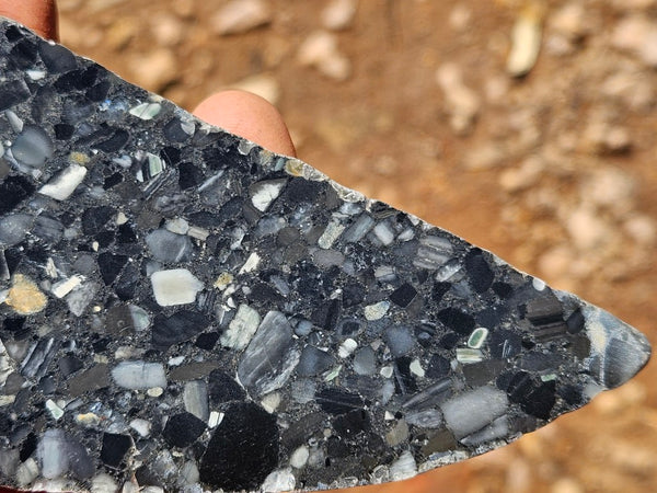 Black Jasper Conglomerate slab B235
