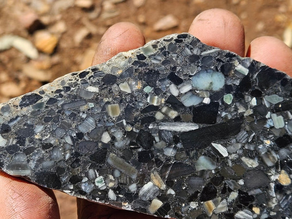 Black Jasper Conglomerate slab B235