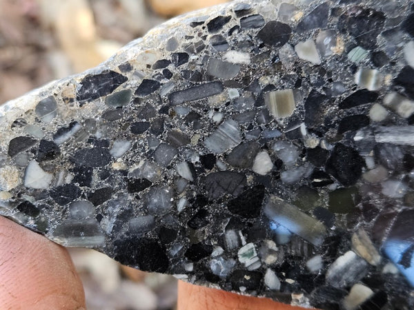 Black Jasper Conglomerate slab B235