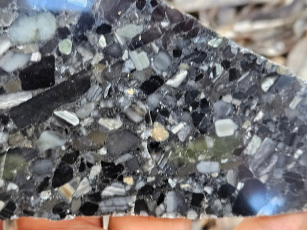 Black Jasper Conglomerate slab B235