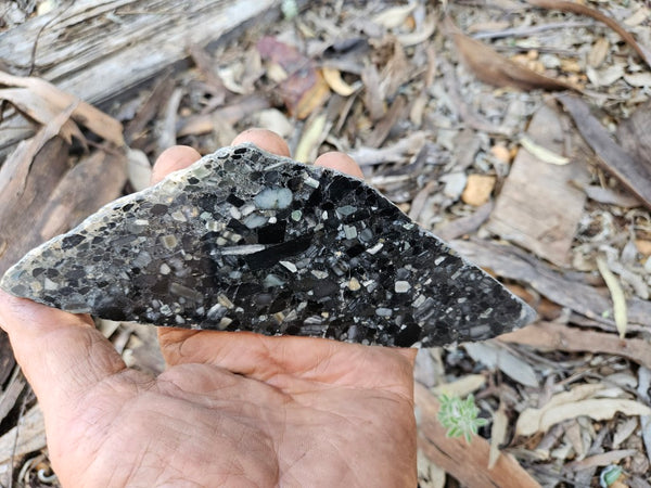 Black Jasper Conglomerate slab B235