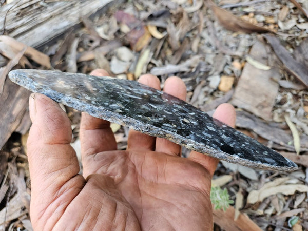 Black Jasper Conglomerate slab B235