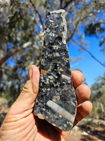 Black Jasper Conglomerate slab B236