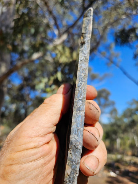 Black Jasper Conglomerate slab B236