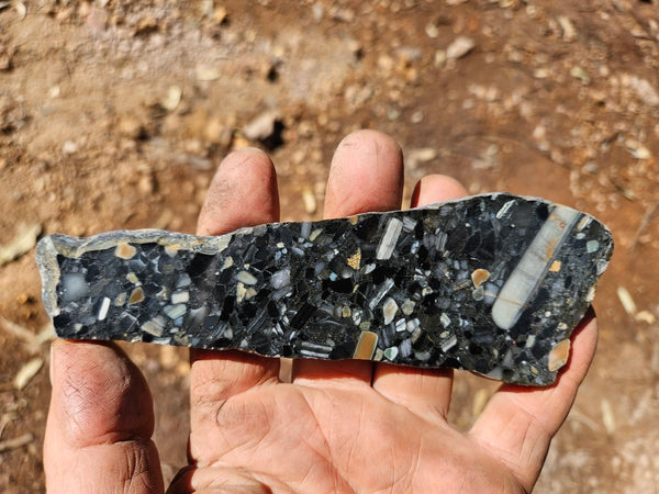Black Jasper Conglomerate slab B236