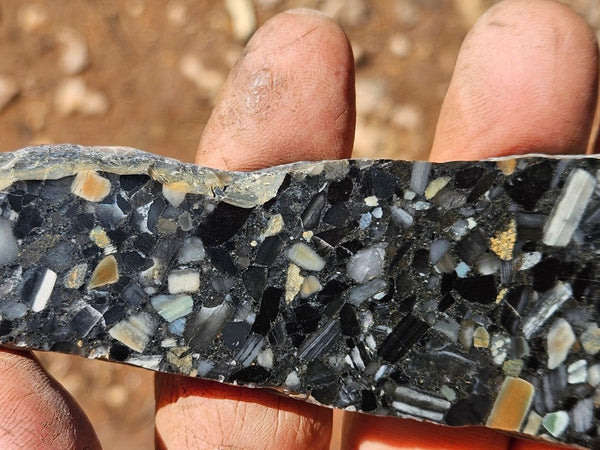 Black Jasper Conglomerate slab B236