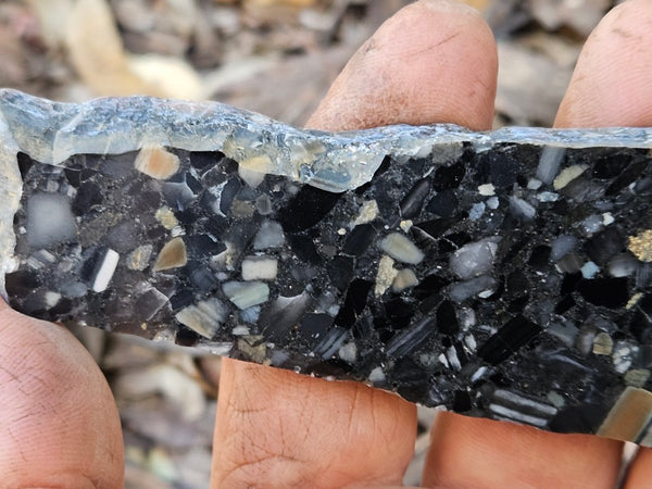 Black Jasper Conglomerate slab B236