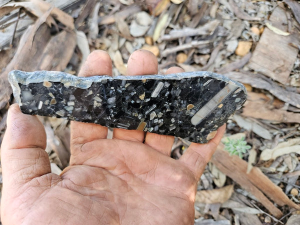 Black Jasper Conglomerate slab B236