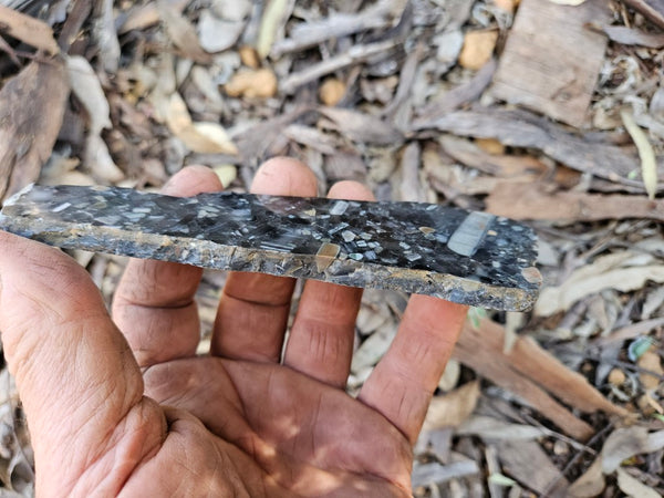 Black Jasper Conglomerate slab B236