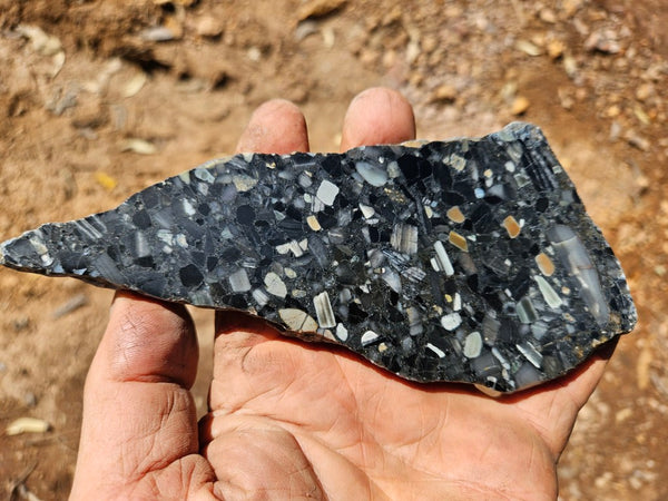 Black Jasper Conglomerate slab B237