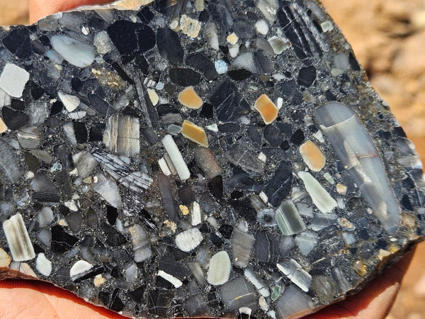 Black Jasper Conglomerate slab B237