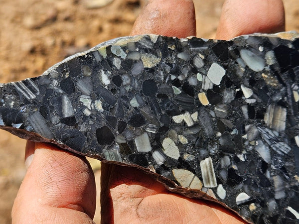 Black Jasper Conglomerate slab B237